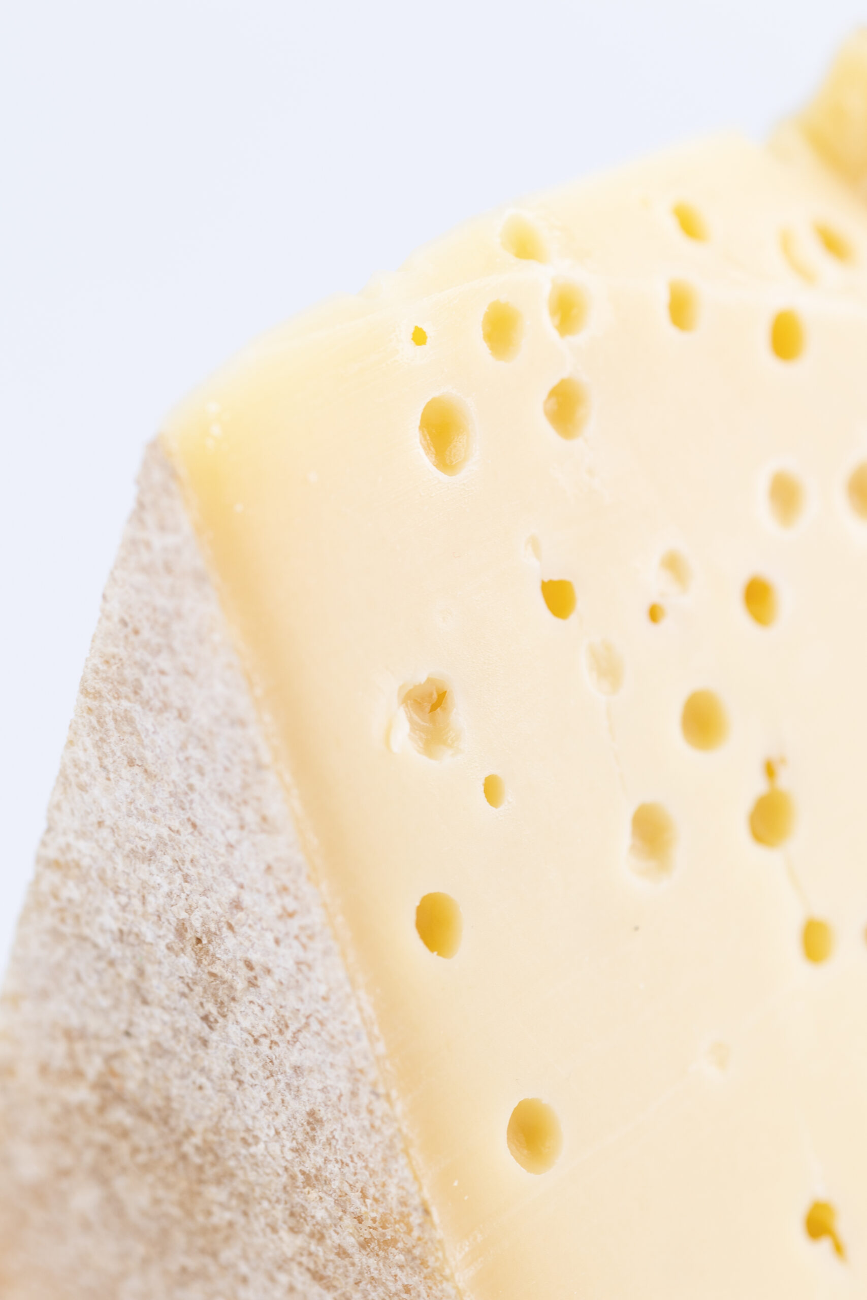 gusto-valsassina-formaggio-grasso-alpe-dettaglio
